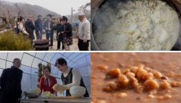 [한국인의 밥상] 정선-메밀국죽·닭만두·황기족발, 봉화-한방 능이백숙, 횡성-배추밥·코다리조림… 산골 한 끼