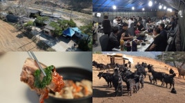 [EBS 극한직업] 봄, 분주한 삶의 현장… 주꾸미잡이와 밥 주는 민박집