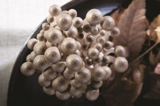 느티만가닥버섯 다양한 요리에 활용하세요