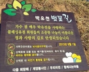 박유천 벚꽃길 철거 되나? 마약투약 혐의 비난 여론... 로이킴숲 이어 철거 목소리 높아