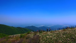 [영상앨범 산] 오뉴월 신록의 초대, 소백산 국립공원 1박2일 산행