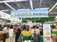 곡성멜론, 농협 하나로클럽 양재점에서  판촉 행사 진행