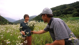 [EBS 한국기행] 이곳은 신선동일세…문경 황장산 자락, 울진 불영계곡 부부