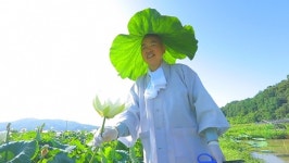 EBS 한국기행 연잎밥·우무냉국…경북 문경 윤필암 공곡스님의 폭서 피하는 법