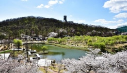 강북 대표공원 북서울꿈의숲 10주년…12일 기념행사