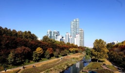 강남구, 30일부터 양재천 단풍축제…도곡2동주민센터·밀미리교 일대