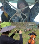[EBS 한국기행] 낯선 마을에서 살아보기 3부…귀어 어부, 귀촌 부부 아, 시골살이