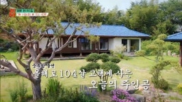 [EBS 건축탐구-집] 104년 고택의 새내기 부부, 해남·해녀된 서울 토박이 부부 명랑촌집