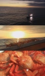 [EBS 한국기행] 주문진에 붉은 대게 물들면…자연산 홍게 넘치는 어민수산시장 맛기행
