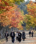 오늘날씨 남부·제주 가을비, 아침 10도 이하 쌀쌀 큰 일교차 주의…17호 태풍 사우델 경로