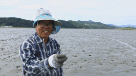 [EBS 한국기행] 갯벌의 고수들…무안 낙지잡이, 벌교 짱뚱어잡이 달인 만나다