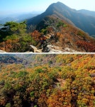 [영상앨범 산] 가을의 선물 양평 용문산…용문사~새숙골~두리봉~백운봉~장군봉 산행