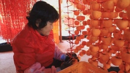 [EBS 한국기행] 만추, 낭만기행…가을에 피는 꽃 감빛 물든 곶감 상주 밤원마을