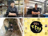 박도언베이커리 | [생활의달인] 부산 달걀말이국수·프랑스 가정식 그라탱&토마토 파르시 달인…생존달인 강은미