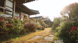 [EBS 소소한 행복 정원일기] 주례민 가드너 중정 레슨…순천 신귀심 여사 야생화 순정