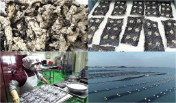 [EBS 극한직업] 유리 벽 힐링 공간 선룸… 해외서 더 사랑받는 김부각·김과자