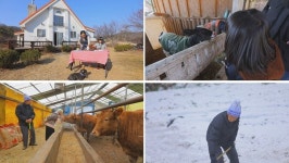 [EBS 한국기행] 청주 백동마을 노부부, 3대가 함께 사는 여주 동물농장…신축년 새해 소원은?