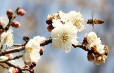 오늘날씨 전국 흐리고 곳곳 비, 아침 쌀쌀 낮최고 12도 포근…미세먼지 좋음·보통