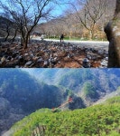[영상앨범 산] 오세진 작가, 순창 강천산 산행…수려한 기암괴석 호남 소금강