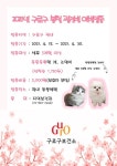 구로구, 봄철 광견병 예방접종 실시