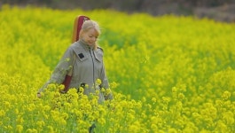 [EBS 한국기행] 獨 미녀가수 로미나, 남해 홍현 해라우지 마을로 봄날 트로트 여행