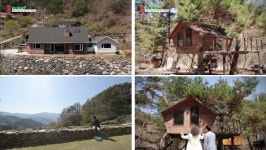 [EBS 건축탐구-집] 지리산이 앞마당 함양 부부의 집…남자의 로망 담은 홍천 트리하우스