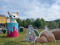 서울대공원, 잔디광장에 멸종위기 동물 그래픽 아카이브 전시