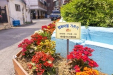 구로 주민들, 쓰레기 무단투기 지역에 꽃밭 조성