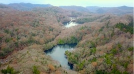 [세계테마기행] 아오모리 절경, 아키타 전설, 오이타 온천…일본 완행열차 여행
