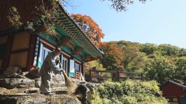 [EBS 한국기행] 곡성 천태암 대주스님, 광양 상백운암 설만스님 구름 위의 밥상