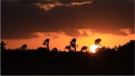 [한국의 둘레길] 제주 올레길 3코스…바람이 보낸 길, 바람이 머무는 길