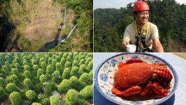 [세계테마기행] 따뜻해서 좋은 아시아 여행…라오스 볼라벤고원~베트남 동남아고원