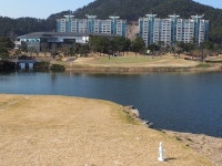 태안 스톤비치CC 리뉴얼 오픈, 대중골프장으로 새출발 볼거리, 먹거리 넘쳐 오감만족