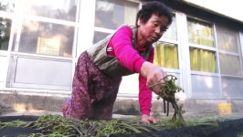 [인간극장] 배우 천신남 씨의 전원일기 3부