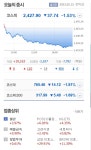 [오늘증시]코스피, 기관과 외국인 팔자에 하락 2427선 마감