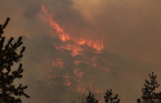의성 산불, 안동으로 확산…안동시 길안면 주민 대피 나서