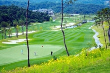 경북도 산불 피해 극복 프로젝트, 골프장도 움직인다