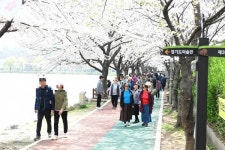 안산시, 꽃들로 수놓은 제1회 안산 벚꽃 놀이터 성료...화랑유원지 상춘객 대거 몰려