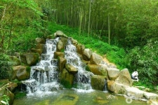 담양 가볼만한곳 대나무숲·온천·먹거리로 즐기는 여름 여행