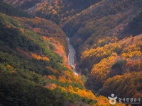 대구 근교 가볼만한 곳, 자연·역사·테마 여행지 총정리