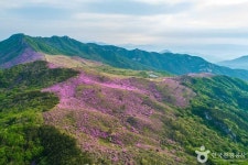 합천 가볼 만한 곳, 역사, 자연, 영화 세트장이 어우러진 경남 여행