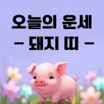 [오늘의 운세] 띠별 운세, 돼지띠 7월 23일 운세 대공개