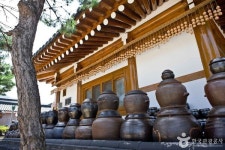 순창 가볼 만한 곳, 발효의 미학이 깃든 풍경