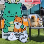 용인시와 행복하개(犬)…용인시 반려동물 문화축제