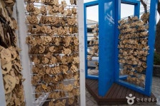 강릉 가볼 만한 곳, 월화거리에서 만나는 가을의 낭만