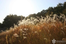서울 강북구 가볼 만한 곳, 북한산 자락의 고요함과 미식의 조화