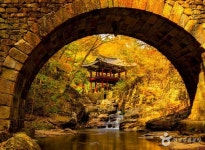 순천 가볼 만한 곳, 자연과 역사가 숨 쉬는 남도의 깊은 매력