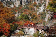 속초 가볼 만한 곳, 동명항의 활기와 시장의 정겨움