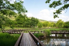 문경 가볼 만한 곳, 가을 풍경 속 액티비티와 역사 탐방