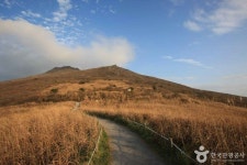 광주 가볼 만한 곳, 무등산 자락의 풍경과 도심 속 즐거움